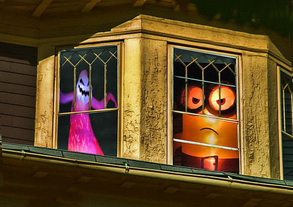 Window Dressing